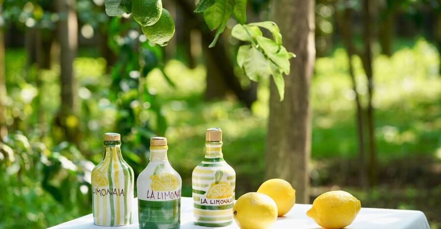 Sorrento Lemon Tour - Key things I’d circle before you book