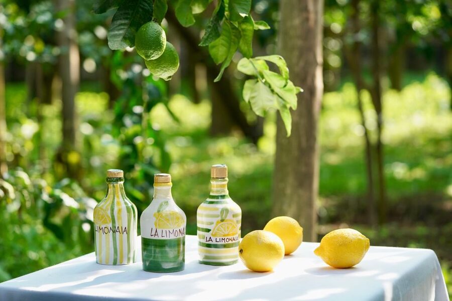 Sorrento Lemon Tour - Is it worth $53? Value in practical terms