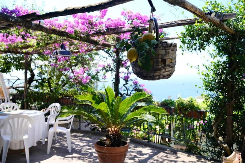 Sorrento: Marì Cooking Class in a Family Farm w/ Coast View - Meet Mari and the Family Behind Mari Cooking Class