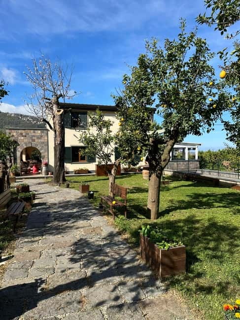 Sorrento: Mozzarella experience. Say CHEESE with us! - Logistics From Sorrento: Getting There Without Stress