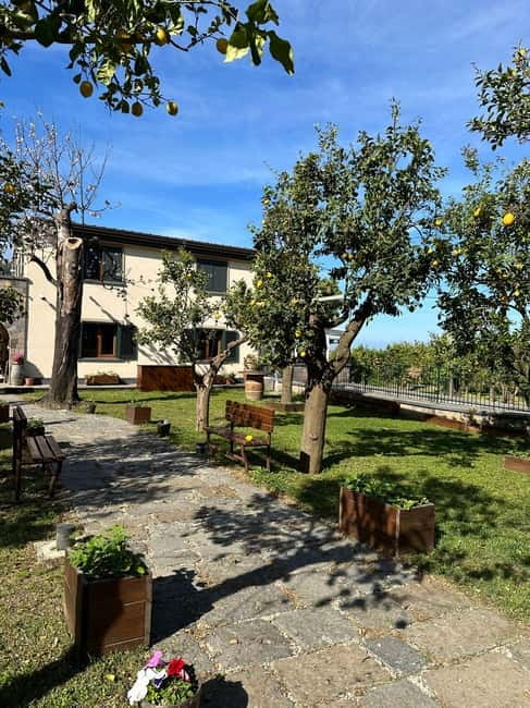 Sorrento: Mozzarella experience. Say CHEESE with us! - Price and Value for a 2-Hour Food Workshop