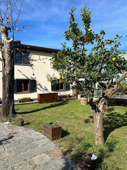 Sorrento: Mozzarella experience. Say CHEESE with us! - FAQ