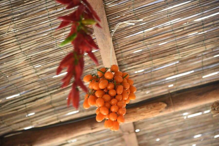 Sorrento: Pizza Lesson, Wine, and Limoncello at a Local Farm - Dinner in the Farmhouse, Your Pizza Plus Seasonal Courses