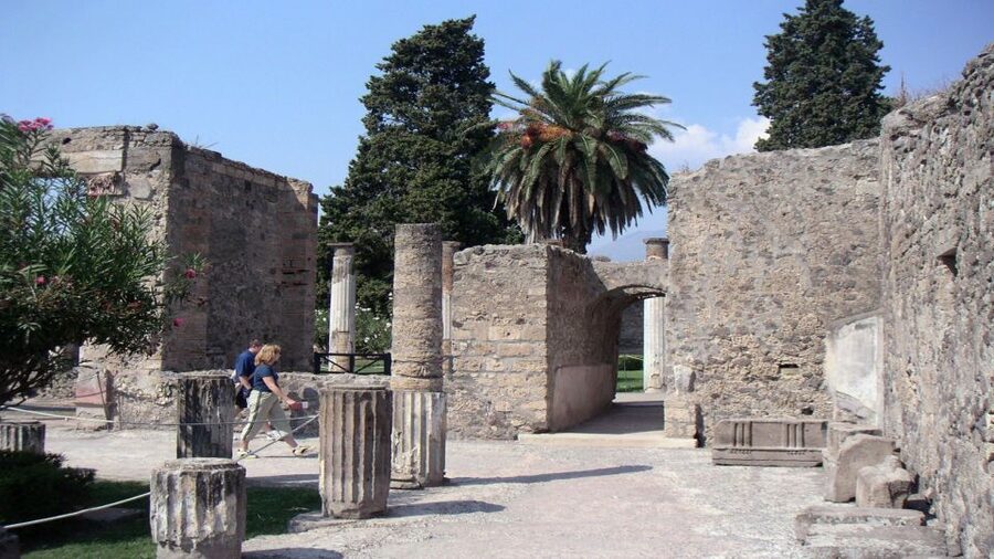Sorrento: Pompeii & Herculaneum Tour with Skip-the-Line - Who should book this tour, and who might choose another option