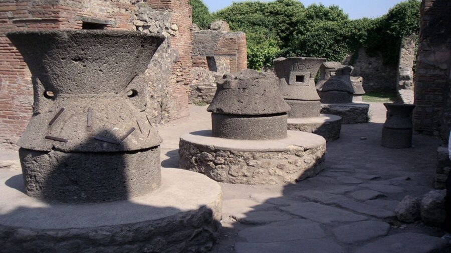 Sorrento: Pompeii & Herculaneum Tour with Skip-the-Line - Your day starts in Sorrento, then shifts to Roman reality