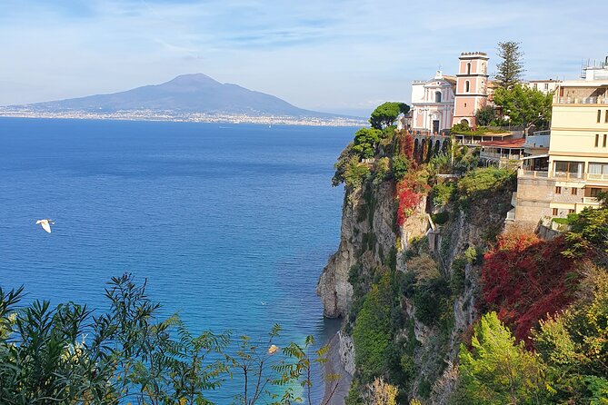 Sorrento : Private Transfer from Naples visit Pompeii - Pompeii in a 2-hour window: how to make it count