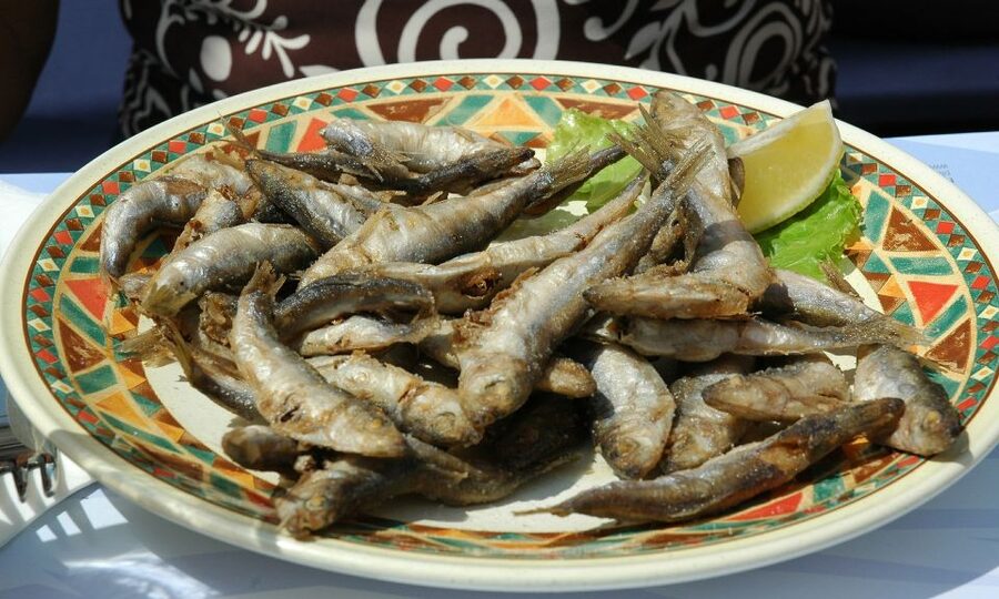 Sorrento: Sea-Fishing Tour with Lunch Onboard - Who This Tour Fits Best in Sorrento (and Who Might Skip It)