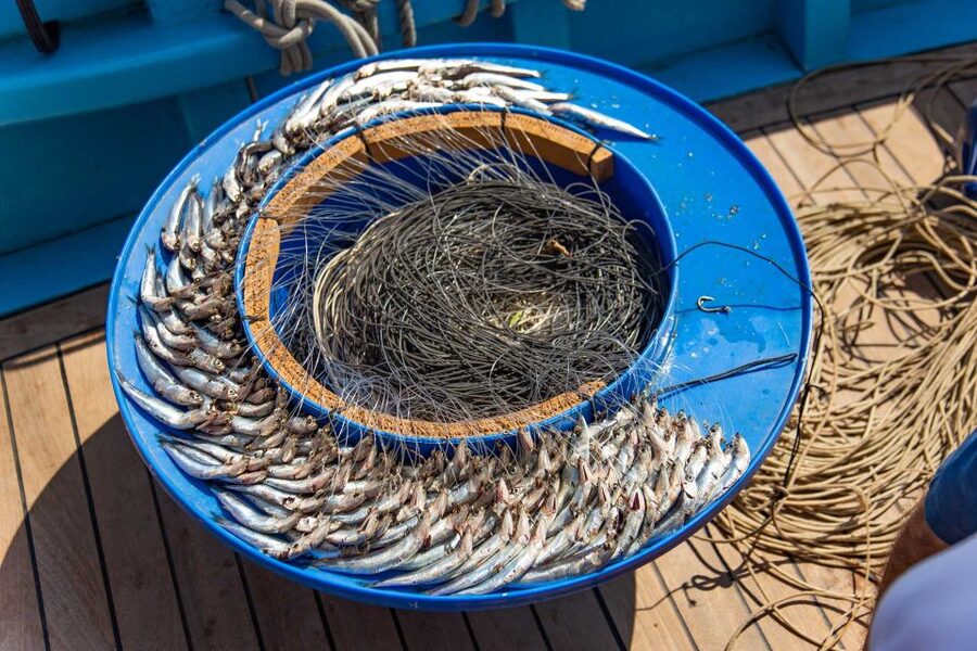 Sorrento: Sea-Fishing Tour with Lunch Onboard - Cruising Capri by Boat: Grottoes, Faraglioni, and the Big Sights