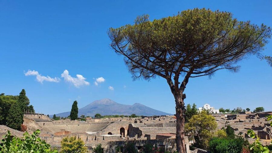 Sorrento: Skip-the-Line Pompeii Express Tour by Train - Free Time After the Tour: Go Deeper Only Where You Want