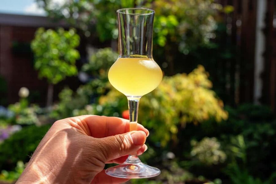 SORRENTO: Sunset Limoncello Making After-Dinner Experience - Dessert Time: Tiramisu al Limoncello