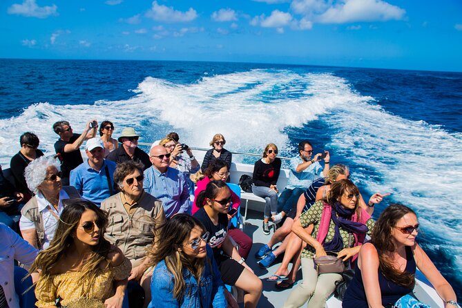 Sorrento to Capri and back: Minicruise Daily Return Ticket - From Sorrento to Capri, without a full-day squeeze