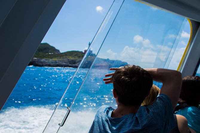 Sorrento to Capri and back: Minicruise Daily Return Ticket - Price and value: what $50.95 buys you