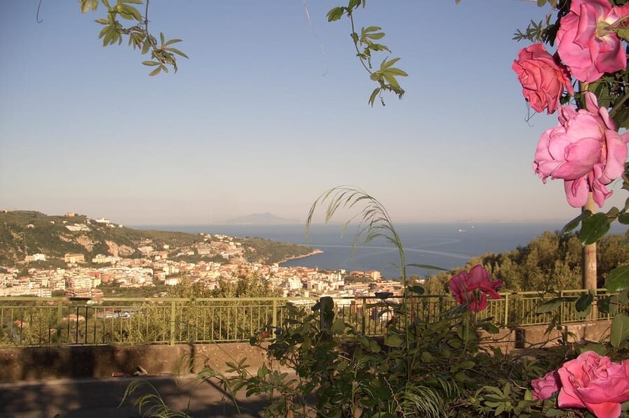 Sorrento: Walking Tour in Lemon Garden w/ Food Tasting - Cheese making and a sit-down tasting that feels like lunch, not a snack