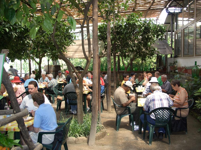 Sorrento: Walking Tour in Lemon Garden w/ Food Tasting - The views, the pace, and why this tour beats the tourist shuffle