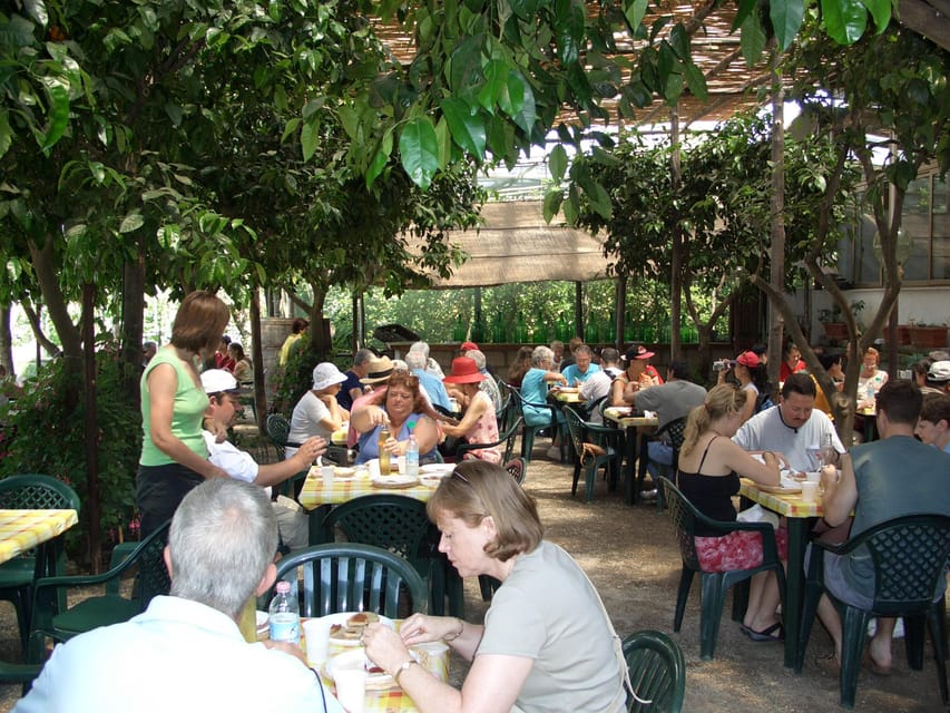 Sorrento: Walking Tour in Lemon Garden w/ Food Tasting - Who this tour is best for (and who should choose something else)