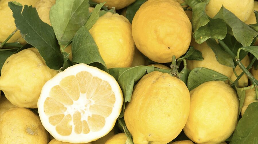 Sorrento: Walking Tour in Lemon Garden w/ Food Tasting - Lemon garden walks that explain how lemons fit the whole farm