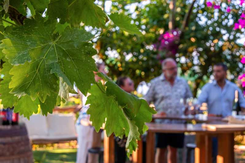 Sorrento: Wine Tasting Overlooking the Sea in a Lemon Grove - Via Casarlano 30: the rustic farmhouse garden where the tasting happens