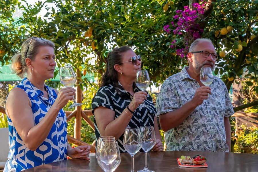Sorrento: Wine Tasting Overlooking the Sea in a Lemon Grove - What you taste: five Campania wines plus local pairings