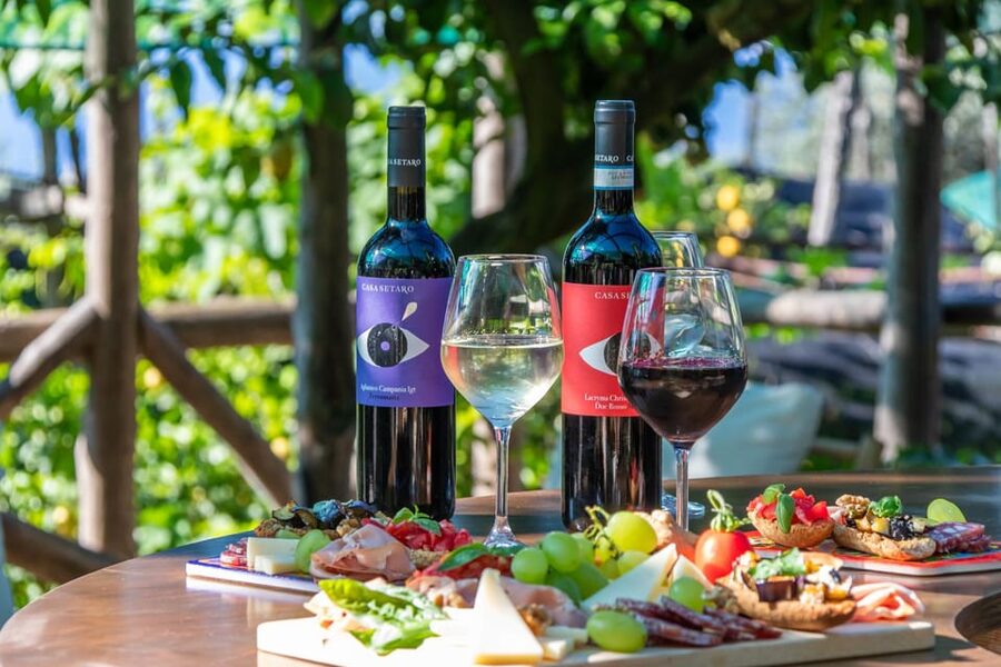 Sorrento: Wine Tasting Overlooking the Sea in a Lemon Grove - Should you book this Sorrento wine tasting overlooking the sea?