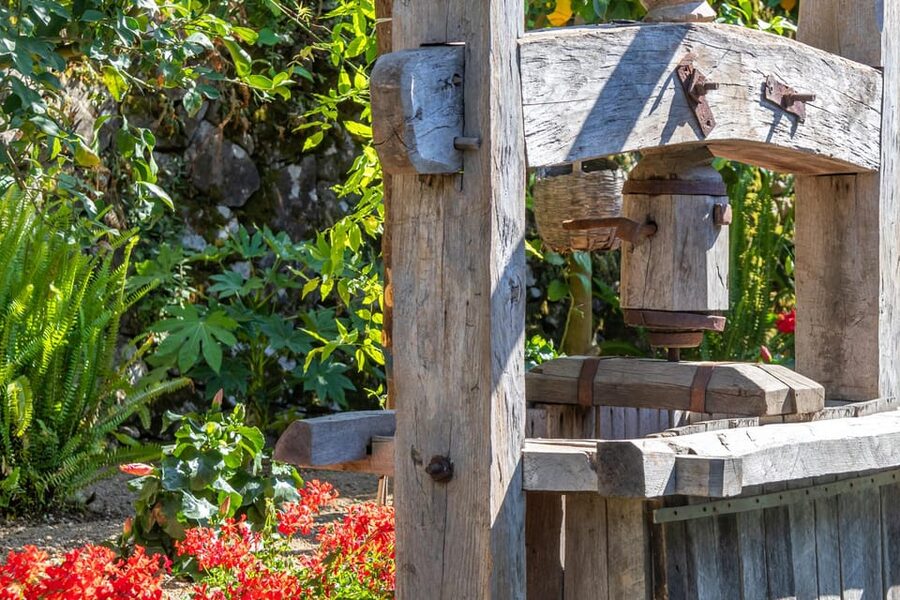 Sorrento: Wine Tasting Overlooking the Sea in a Lemon Grove - FAQ