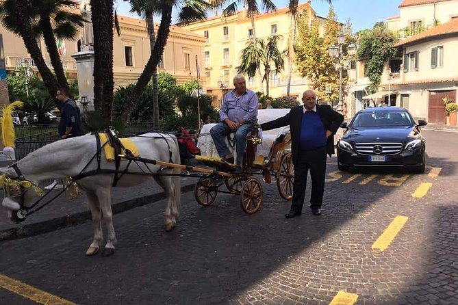 Splendida giornata con noi in costiera Amalfitana e dintorni - Should you book Scialone Limousines for this 2-day plan?
