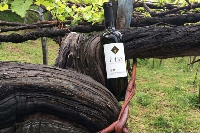 Tenuta San Francesco Wine Tasting - Key highlights at Tenuta San Francesco