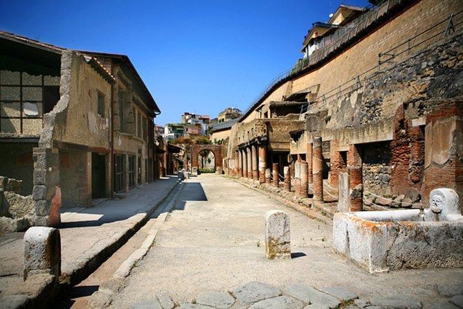 The charm of Pompeii and Herculaneum.Private Tour with Official Guide - Pompeii Archaeological Park: how to use your first 2 hours well
