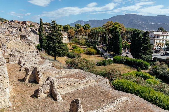 The Ultimate Ruins of Pompeii and Herculaneum Private Day Trip - A smooth half-day plan: two sites, about five hours total