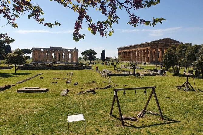 Tour at the Temples and the National Museum of Paestum - Should You Book This Paestum Tour?