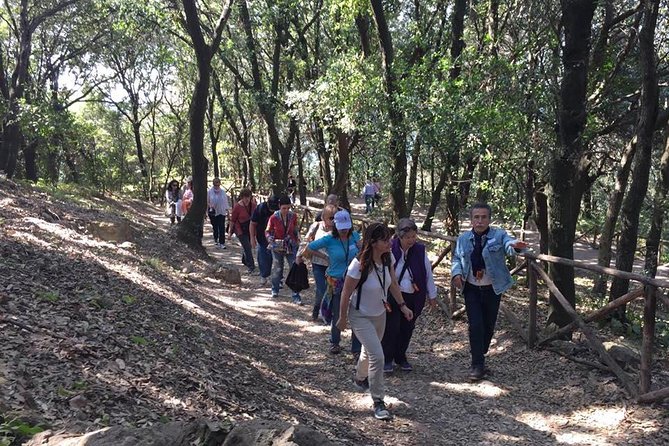 Tour in the ruins of Cuma with an archaeologist. - How to get the most from Ilaria’s style of guiding