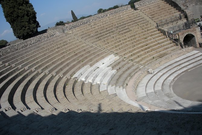 Tour in the ruins of Pompeii with an archaeologist - Language, mobile ticket, and planning so you don’t waste time