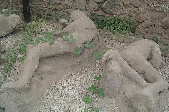 Tour of Mt. Vesuvius+Sorrento+Pompeii (Full Day) - A few practical tips before you go