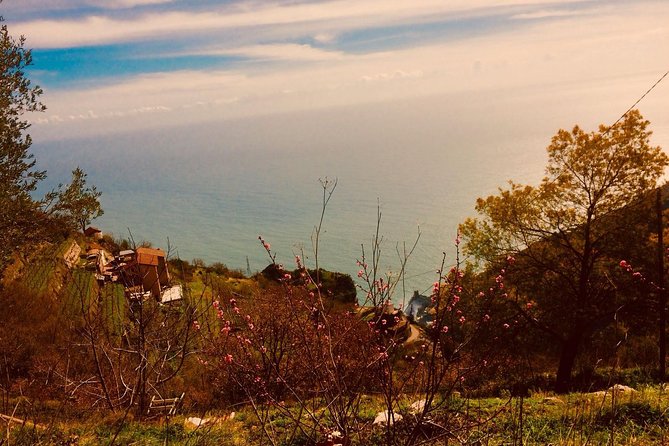Trail of the gods with local guide Saveria Fiore "Ladybug" - Flora and wild herbs: what you might notice on the way
