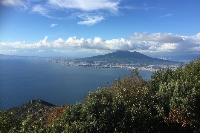 Transfer from Sorrento to Naples - Comfort details that make the transfer feel like a real service