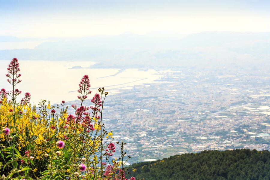 Vesuvio Skip The Line Ticket With Digital Audioguide - Skip-the-Line Ticket and Digital Audioguide, What That Means in Real Life