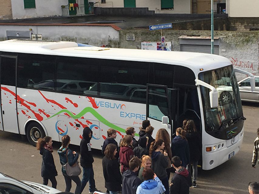 Vesuvius and Pompeii Transfer + Entrance for the Vesuvio - Price and value: is $59 a smart deal or a trap?