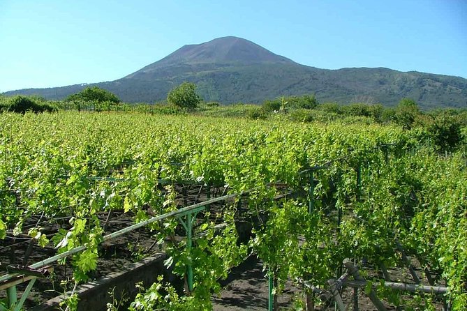Vesuvius & Vineyard select from Sorrento - Timing at the top: how much time you really get