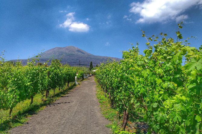 Vesuvius & Vineyard select from Sorrento - Who this tour fits best
