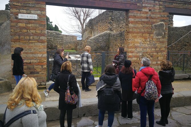 Visit Pompeii with an expert professional guide (2/3 hours) - Meeting at Via Villa dei Misteri and how long to plan