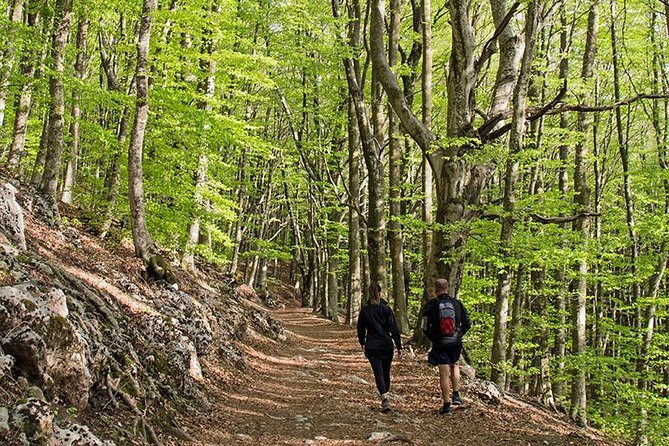 Walk around Faito Mountain, the Highest Point of the Amalfi Coast and Sorrento Peninsula - Price and value: what you’re really paying for
