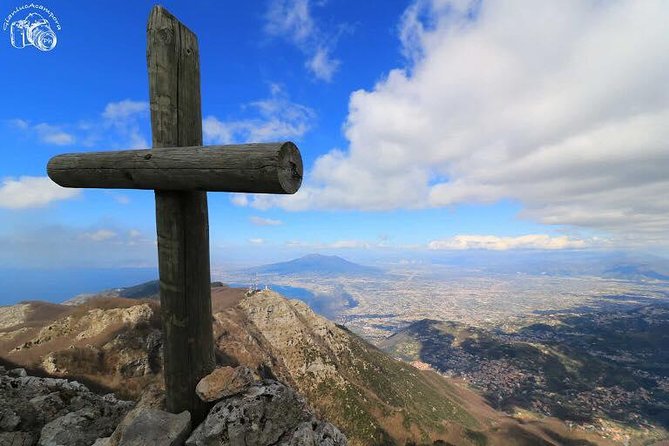 Walk around Faito Mountain, the Highest Point of the Amalfi Coast and Sorrento Peninsula - The beech forest start: cooler air, holy water, and plant spotting