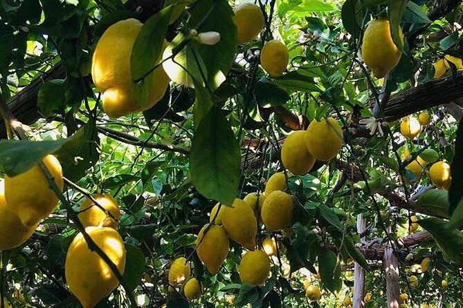 Walking tour from Minori to Maiori along the Path of the Lemons - Chiesa di San Michele Arcangelo in Torre di Minori: the panorama moment