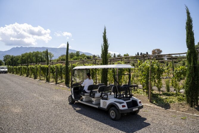 Wine Tasting Including Lunch - Getting From Sorrento to the Winery Without Fuss
