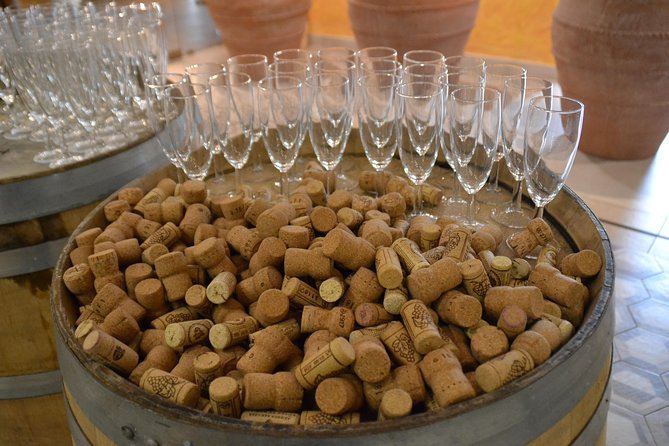 Wine Tour Experience for Family or friend's group - Lunch and wine tasting: plan your pace, not just your palate