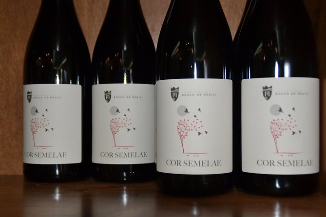 Wine Tour Experience for Family or friend's group - Private, family-friendly group travel with a real local vibe
